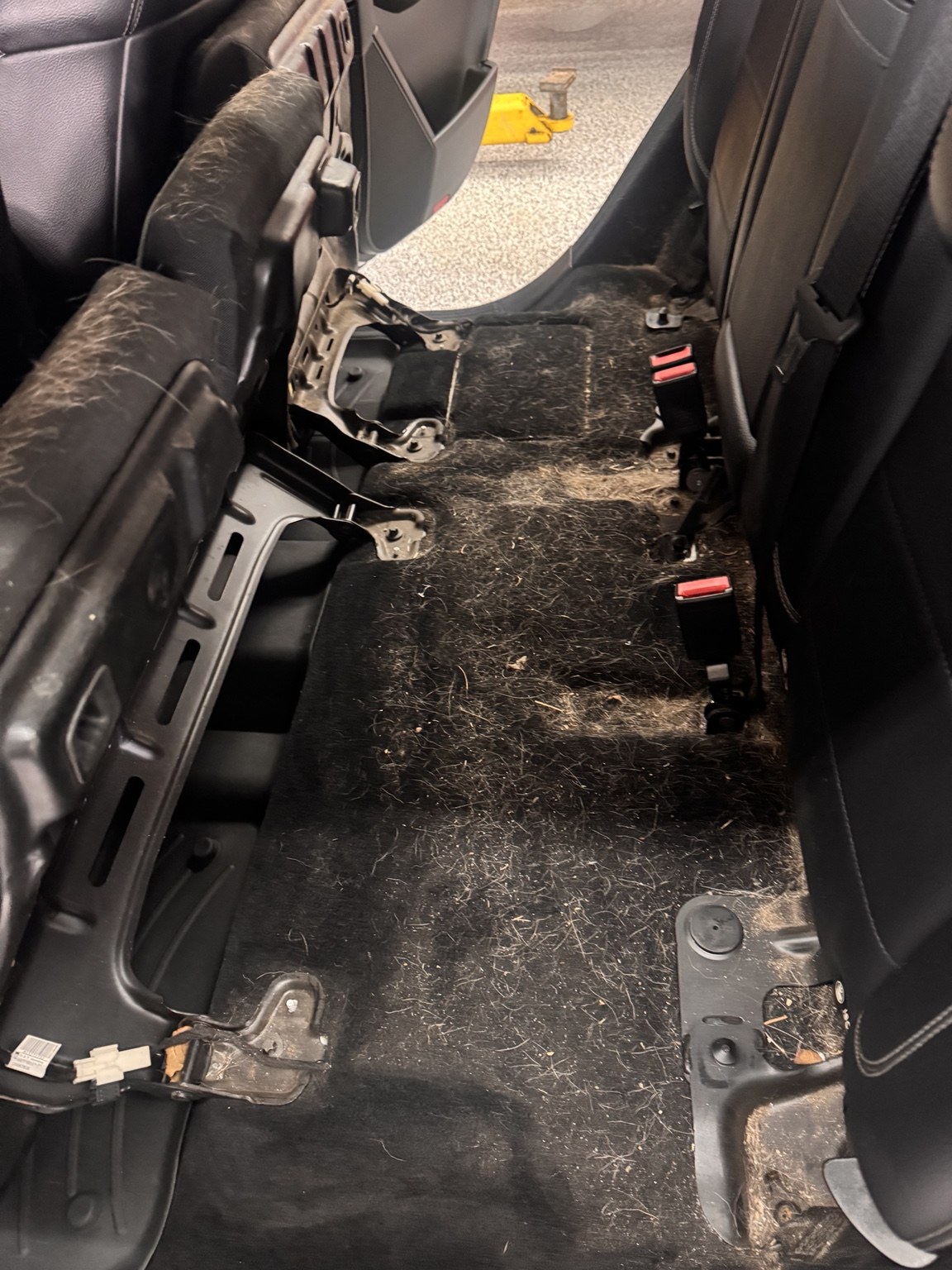 Before detailing: debris and hair across the rear vehicle carpet