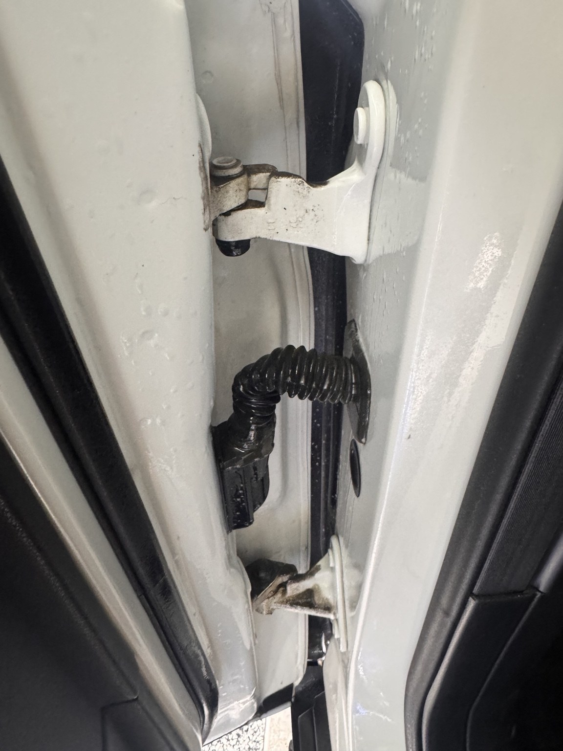 Before detailing: dirt buildup around a white vehicle door hinge and jamb